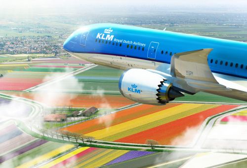 Más frecuencias de KLM a Buenos Aires