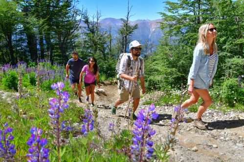 Cerro Catedral ofrece diferentes actividades para disfrutar de la montaña en verano